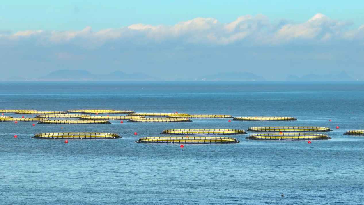Super Project | Luchando por la fuerza del mar, construyendo conjuntamente la isla de Dachen 'Blue Granary '