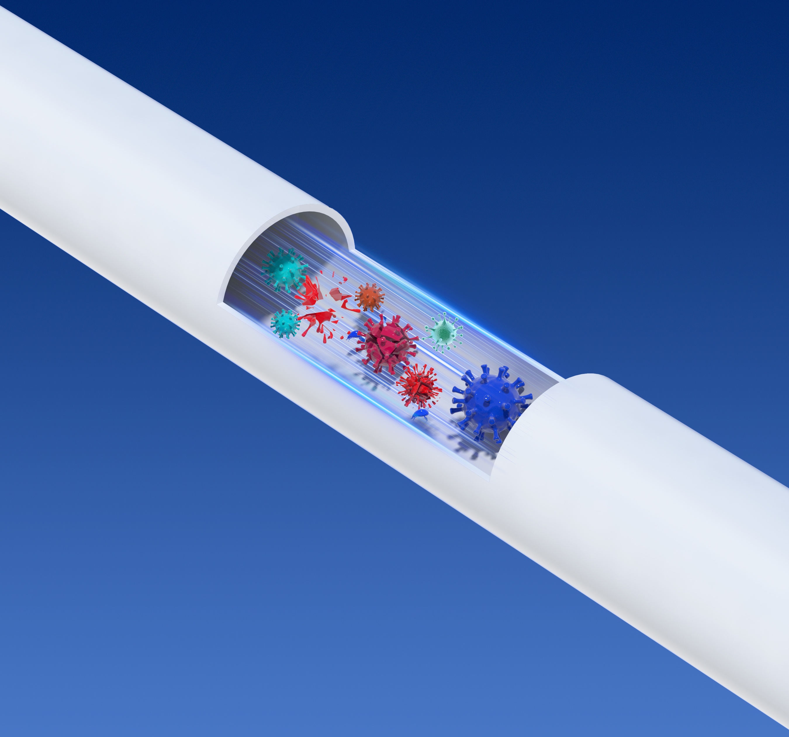 ~!phoenix_varIMG10!~