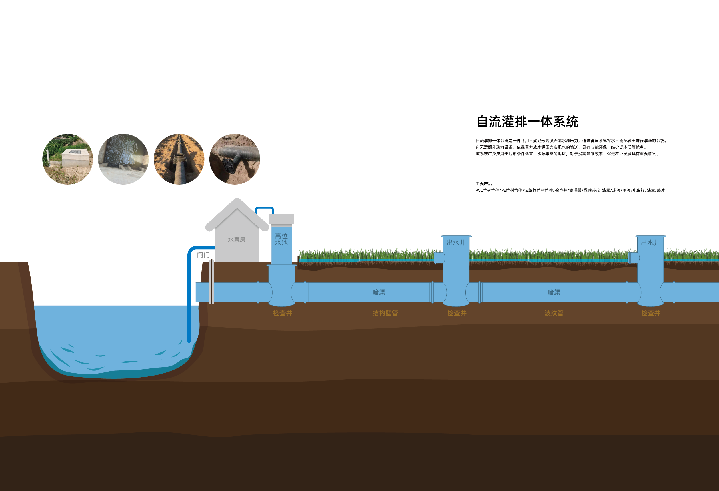 Sistema de riego-agua (4)